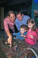 Aquarium at the Fisheries Museum of the Atlantic