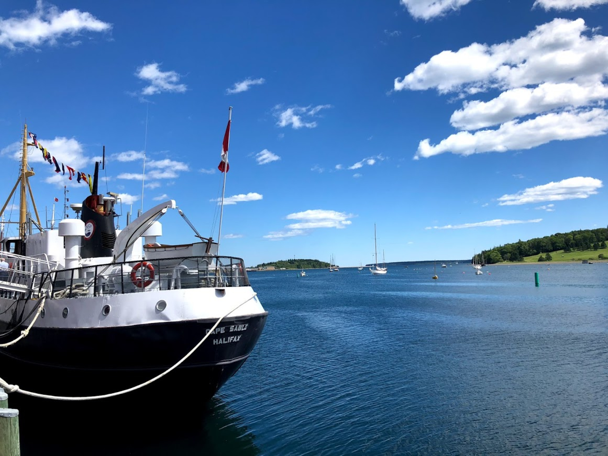 The stern of a black and white vessel named "Cape Sable Halifax" docked at a wharf under a bright blue sky with scattered white clouds. The ship features a red life ring, nautical flags, and a small Canadian flag flying from the mast. In the background, several sailboats are anchored in the calm blue water of the harbor, with a lush green shoreline and a small island visible in the distance.